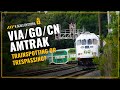 Trainspotting or Trespassing? VIA, GO, CN, and Amtrak at Bayview Junction