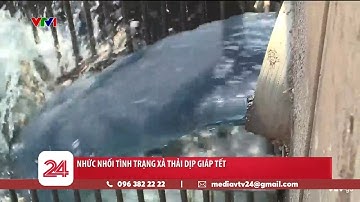Nhức nhối tình trạng xả thải dịp giáp Tết | VTV24