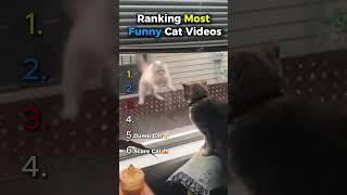 Ranking Most Funniest Cat Videos #viral #shorts #cat #ranking #funnycats #comedy