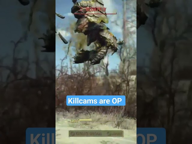 FALLOUT 4 Kills are OP
