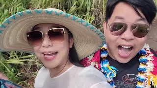 Clip Quang Lê hẹn hò với Hà Thanh Xuân tại Hawaii - Cười Bể Bụng