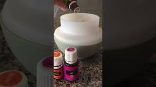 Happy Spring, Boost your Mood Diffuser Recipe!