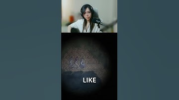 Where My SASSY FROGS? - Fear and Hunger 2: Termina