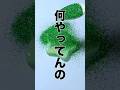 レジンシェイカーに青のりラメラメぶっかけてみた（？）