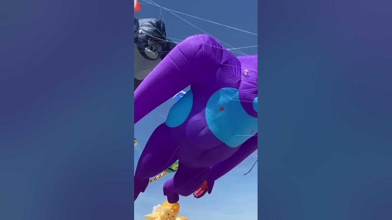 Летающие обезьяны 🤪🤪🤪 - YouTube