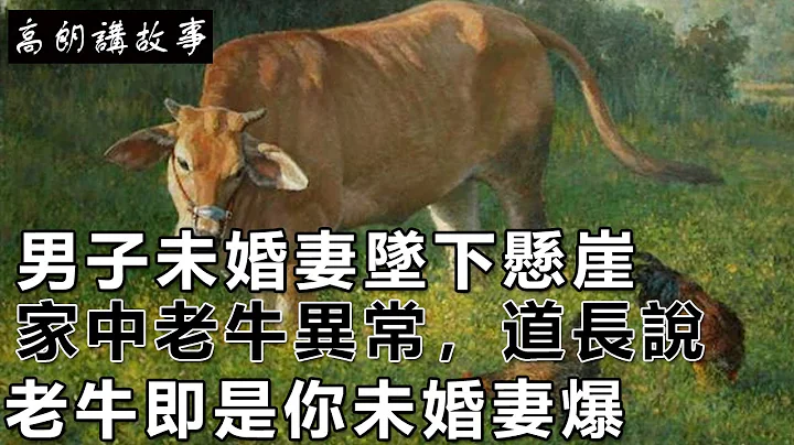 民间故事：男子未婚妻坠下悬崖，家中老牛异常，道长说：老牛即是你未婚妻｜高朗讲故事 - 天天要闻