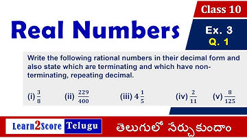 Real Numbers Class 10 AP TS State Syllabus Exercise 1.3 Q 1