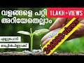 വളങ്ങളെ പറ്റി അറിയേണ്ടതെല്ലാം | All About Plant Fertilizers