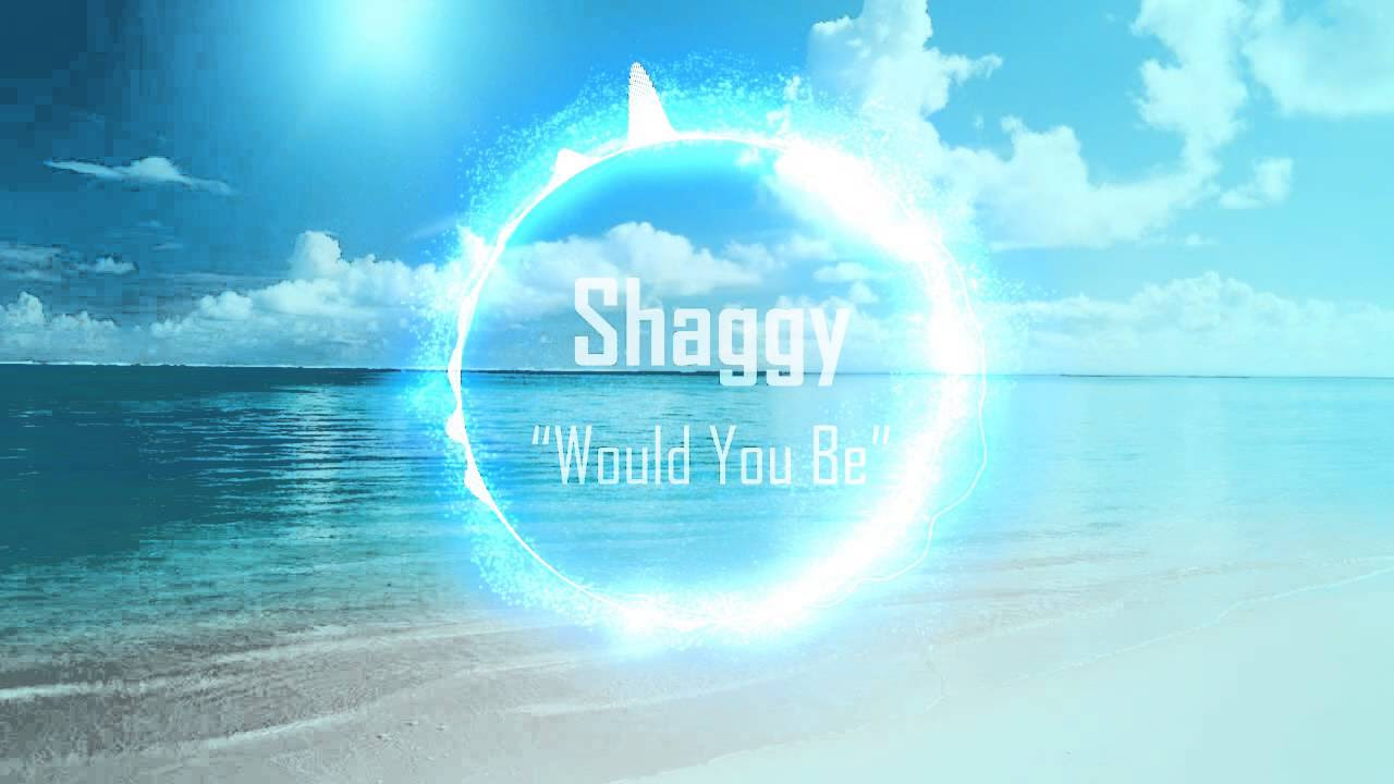 Shaggy    Would You Be ft Brian Thompson