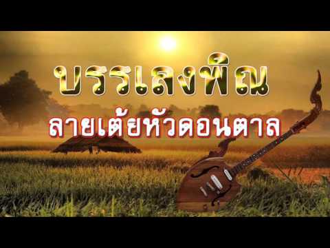 บรรเลงพิณ  ลายเต้ยหัวดอนตาล