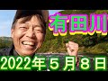 鮎釣り 10cm高 白石の瀬・粟生地区下 有田川 2022年