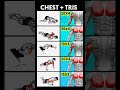“Brutal Chest & Triceps Workout 💪 | Push Day Gym Shorts” | #shortsfeed #chest #challenge #ytshorts
