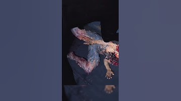 Eliminating the Threat | The Last of Us Part 2 Remastered #shorts #tlou2 #ps5 #gaming