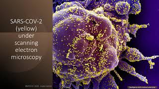 Microscopy (part 3) - Types of Electron Microscopes