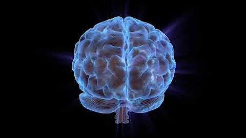 3D Human Brain  Animation Free HD Footage  Royalty Free  No Copyright 1080p