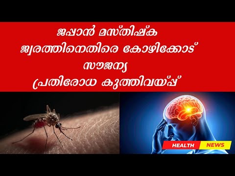 ജപ്പാൻ മസ്തിഷ്ക ജ്വരത്തിനെതിരെ കോഴിക്കോട്സൗജന്യ പ്രതിരോധ കുത്തിവയ്പ്പ് |Doctor Live News #drlives