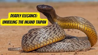 Deadly Elegance | Unveiling the Inland Taipan #inlandtaipan #snake #animals by Animal Facts Hub 158 views 1 month ago 2 minutes, 56 seconds