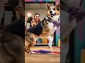 Dog Dancing ЁЯШЖЁЯШЖЁЯШЖЁЯШЖЁЯШЖЁЯШЖ Dog Dancing ЁЯШЖЁЯШЖЁЯШЖЁЯШЖЁЯШЖЁЯШЖ