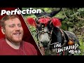 Youtube Thumbnail ITS FINALLY TIME TO WATCH THIS!!! |The Untamed Episode 1 Reaction