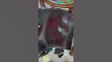 Da kì đà Thái Lan nguyên con tự nhiên - nguyên liệu làm đồ da thủ công cao cấp