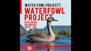 CS50’s Introduction to Databases with SQL Final Project - Waterfowl Project