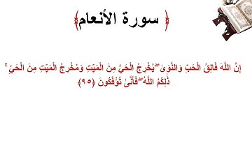 سورة الأنعام الاية 95