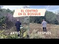 EVOLUCIÓN EL CENTRO EN EL BOSQUE | AVETROPIC