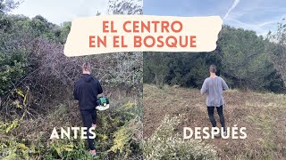 EVOLUCIÓN EL CENTRO EN EL BOSQUE | AVETROPIC