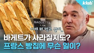 '빵 평등권'까지 생기게 한 바게트인데..사라질지도 모른다고?｜크랩