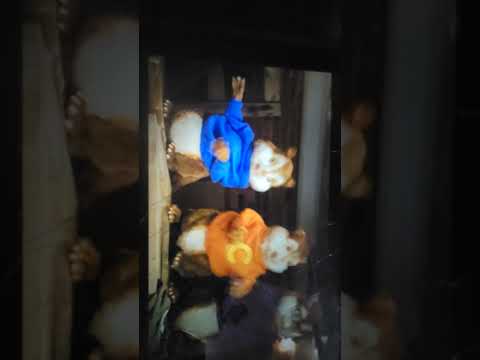 Disaster Movie Ending Song Disastermovie Song