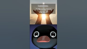 A true blessing from the lord!!! #shortsfeed #shortsyoutube #nootnoot #funny #introvert #extroverts