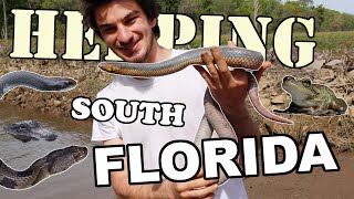 HERPING The Florida EVERGLADES Episode 5: Rainbow at The End of The Rainbow