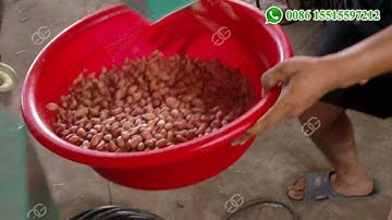 Peanut Kernel Grading Machine Groundnut Grader +8615515597212