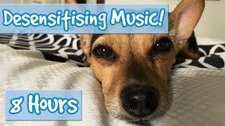 DOG DESENSITISATION! Music with Sound Effects to Desensitise Dogs to Noises and Reduce Anxiety! 🐶💤