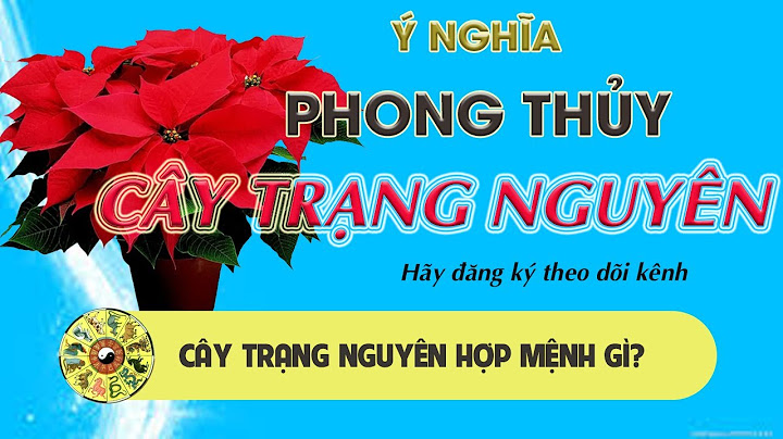 Cây trạng nguyên còn được gọi là cây gì năm 2024