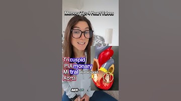 Never forget the 4 heart valves with this tip #anatomy #anatomyandphysiology #humananatomy