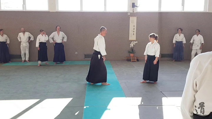 Traditional Aikido Europe - THE PROBLEM IN AIKIDO ...