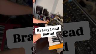 Brassy lead sound with Moog Subsequent 37