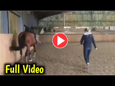 charlotte dujardin horse