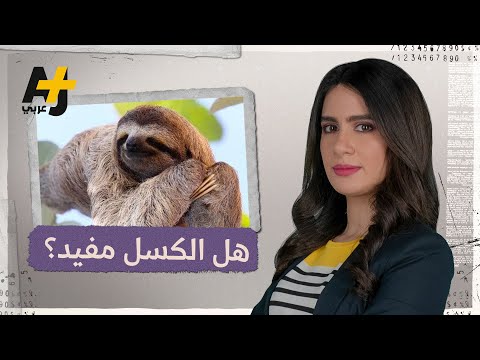 فيديو: الكسل: القتال أم القبول؟