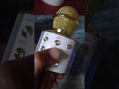 WS 858 Microphone problem