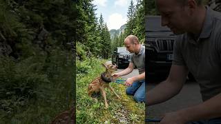 Man Rescues A Baby Deer Trapped With A Tire Around Its Neck