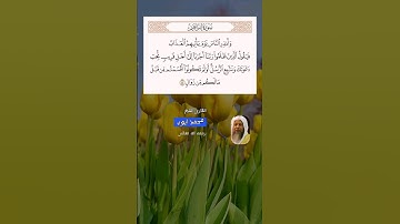 سورة إبراهيم آية (44) القارئ #محمد_أيوب رحمة الله