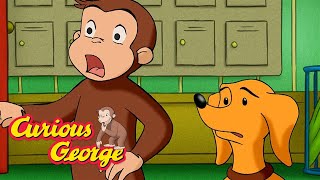 Scaredy Dog 🎃 Curious George 🐵 FULL EPISODE 🐵 Kids Cartoon 🐵 Videos for Kids