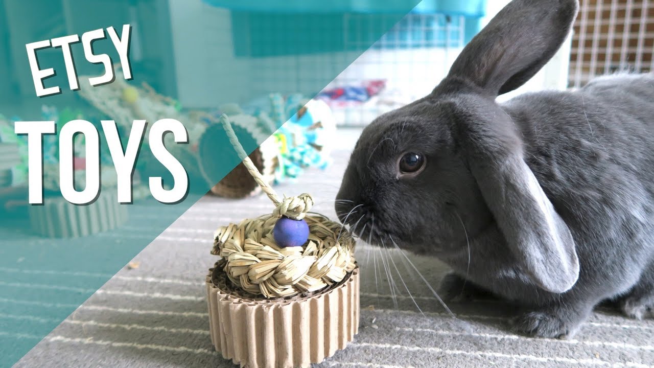 Awesome Homemade Rabbit Toys Youtube