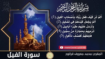 سورة الفيل | المقرئ محمد معروف قرانوح