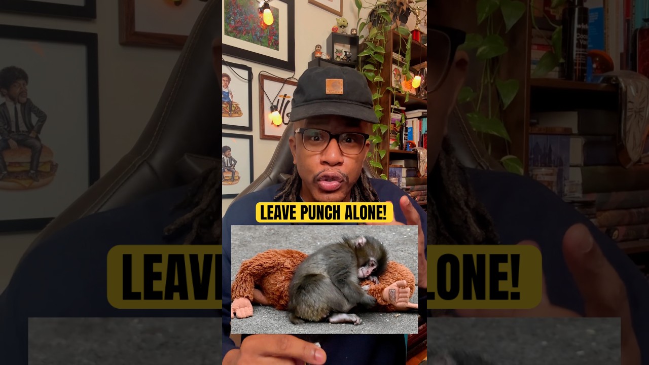 Protect Punch The Monkey! #punchmonkey #punch