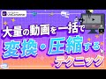 異なる形式の動画をまとめてMP4へ!数クリックで完結する一括変換と一括圧縮|Wondershare UniConverter