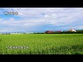 無言的歌 無言的歌