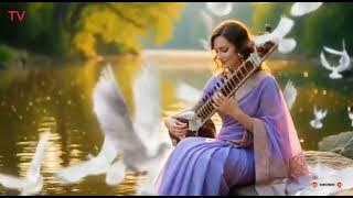 EVIE TAMALA LUKAKU DALAM SEBTUHAN LNDIA KALEELA